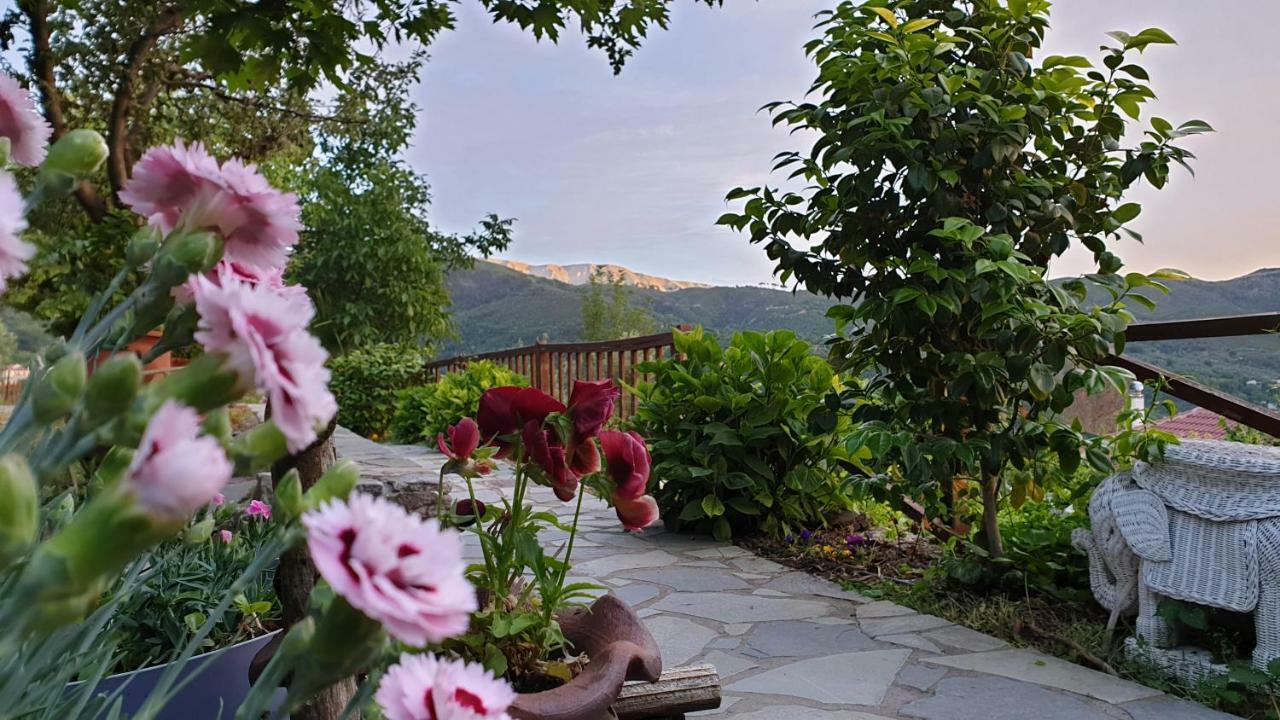 Alagonia Country Homes Eksteriør bilde